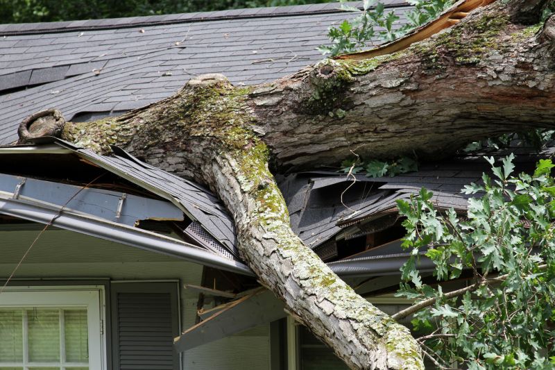Asphalt Roofing Service in Dawsonville, GA