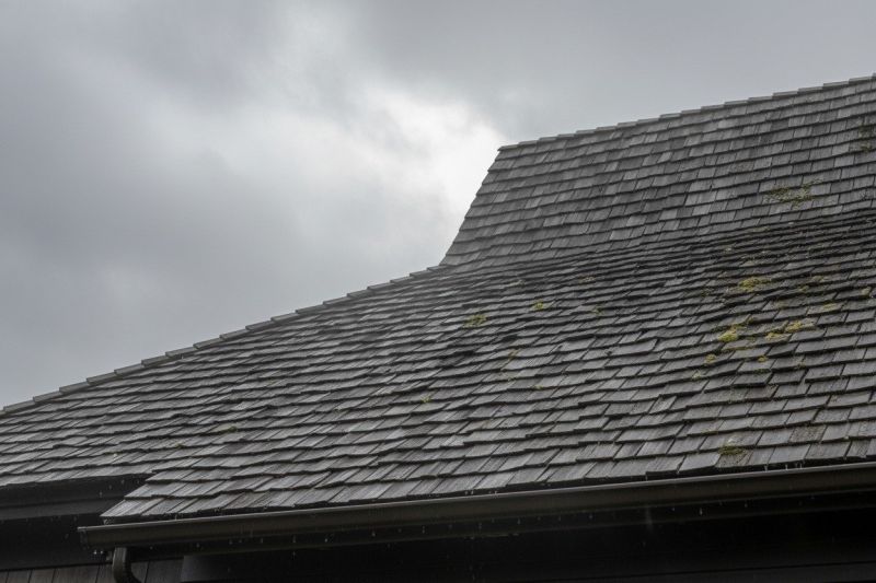Cedar Roof Replacement in Lula, GA
