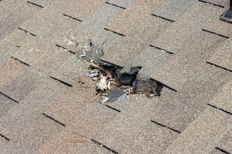 Damaged Roof Replacement in Dahlonega, GA