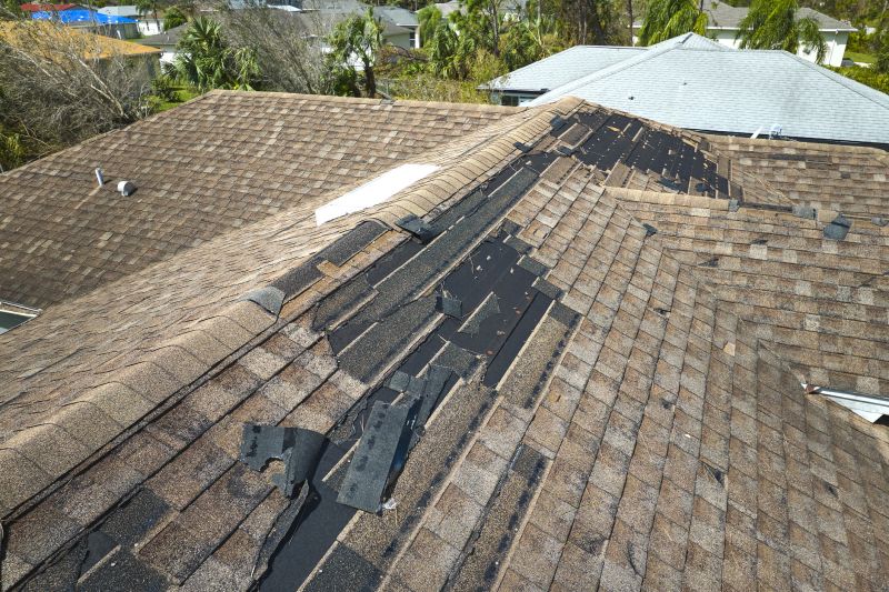 Damaged Roof Replacement in White County, GA