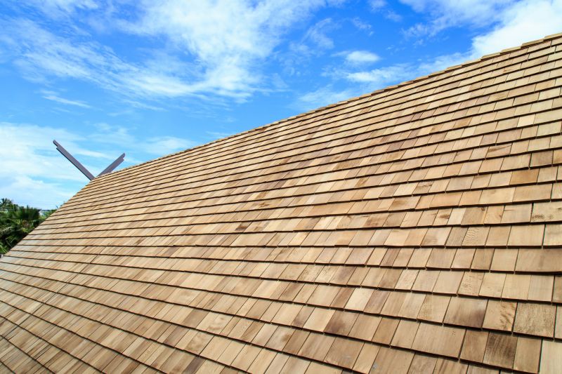 Shake Roof Replacement in Dawsonville, GA