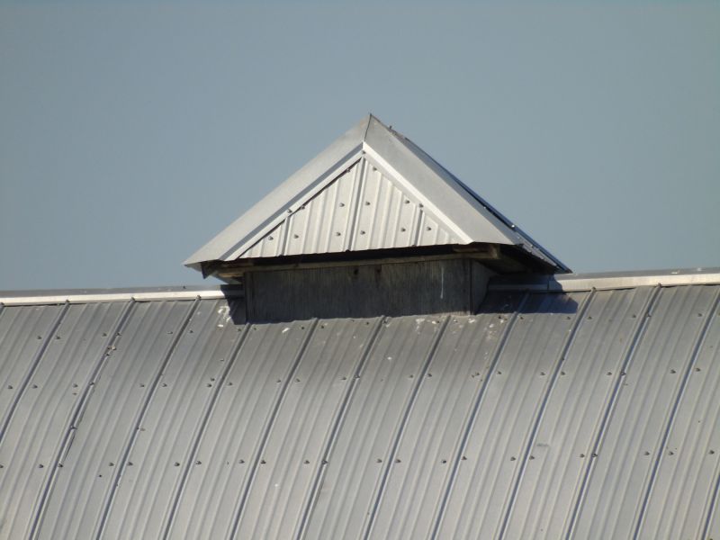 Tin Roof Installation in Ball Ground, GA