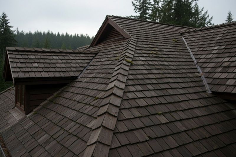 Wood Shake Roof Replacement in Suches, GA